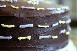 Double Chocolate Layer Cake | Smitten Kitchen | Photo Credit: Smitten Kitchen